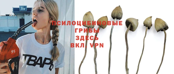 трава Краснослободск