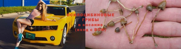 кокс Кукмор