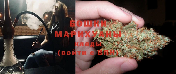 соль ск Липки
