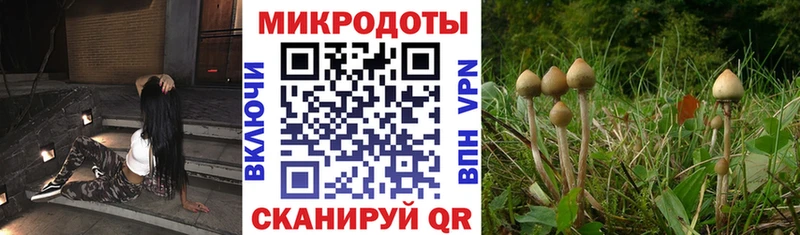 Галлюциногенные грибы мухоморы  OMG как зайти  Мелеуз 